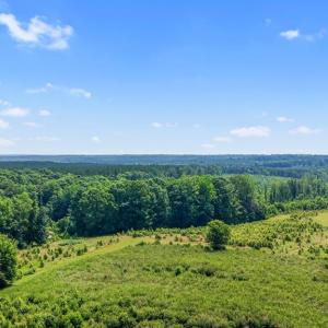Photo #46 of 6502 Nutbush Road, Green Bay, VA 79.0 acres