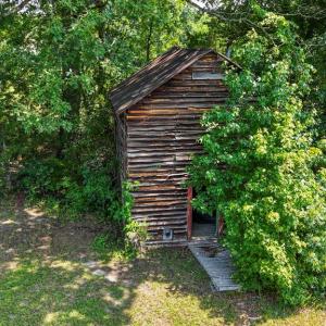 Photo #48 of 6502 Nutbush Road, Green Bay, VA 79.0 acres