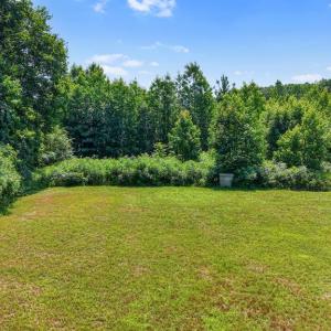 Photo #49 of 6502 Nutbush Road, Green Bay, VA 79.0 acres