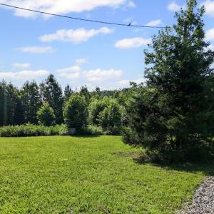 Photo #61 of 6502 Nutbush Road, Green Bay, VA 79.0 acres