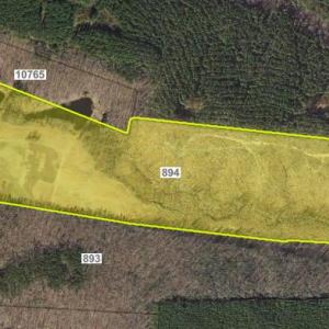Photo #62 of 6502 Nutbush Road, Green Bay, VA 79.0 acres