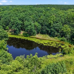 Photo #43 of 6502 Nutbush Road, Green Bay, VA 79.0 acres