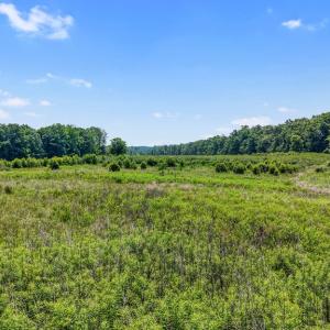 Photo #47 of 6502 Nutbush Road, Green Bay, VA 79.0 acres