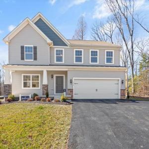 Photo #43 of Lot 1156 AFT CT, GREENBACKVILLE, VA 65.0 acres
