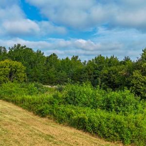 Photo #46 of 6240 Melon Road, Sutherlin, VA 12.1 acres