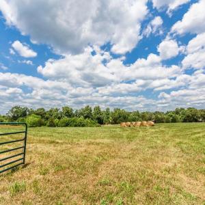 Photo #83 of 7655 Hat Creek Road, Brookneal, VA 370.4 acres