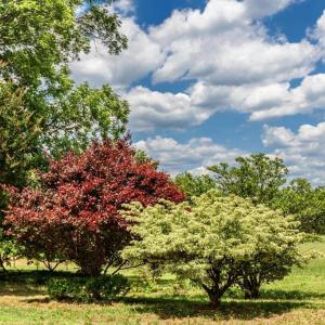 Photo #84 of 7655 Hat Creek Road, Brookneal, VA 370.4 acres