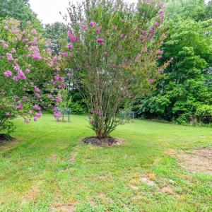 Photo #54 of 803 Germantown Road, Farmville, VA 0.7 acres