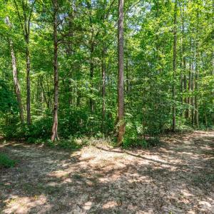 Photo #69 of 197 Goshen RD, Cumberland, VA 23.2 acres