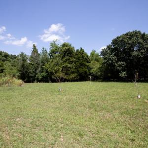 Photo #41 of 2953 Allen Farm Road, Farmville, VA 1.9 acres