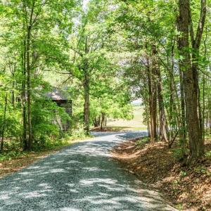 Photo #83 of 1370 Moonlight Road, Appomattox, VA 186.6 acres