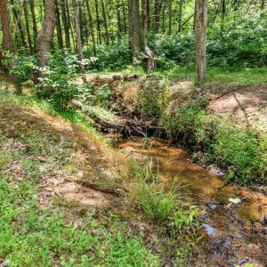 Photo #90 of 1370 Moonlight Road, Appomattox, VA 186.6 acres