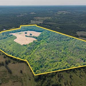 Photo #96 of 1370 Moonlight Road, Appomattox, VA 186.6 acres