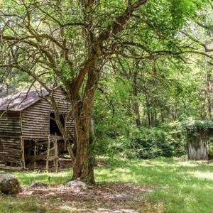 Photo #89 of 1370 Moonlight Road, Appomattox, VA 186.6 acres
