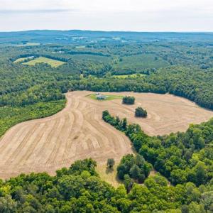 Photo #97 of 1370 Moonlight Road, Appomattox, VA 186.6 acres