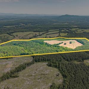 Photo #98 of 1370 Moonlight Road, Appomattox, VA 186.6 acres