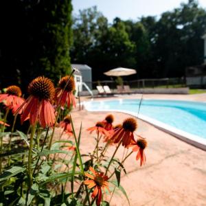 Photo #61 of 385 Asal, Cumberland, VA 21.5 acres