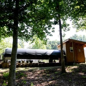 Photo #64 of 385 Asal, Cumberland, VA 21.5 acres