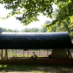 Photo #65 of 385 Asal, Cumberland, VA 21.5 acres