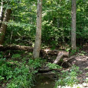 Photo #66 of 385 Asal, Cumberland, VA 21.5 acres