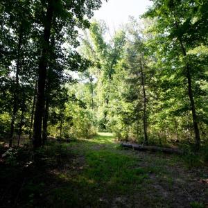 Photo #67 of 385 Asal, Cumberland, VA 21.5 acres