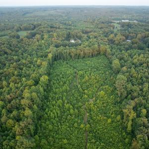 Photo #68 of 385 Asal, Cumberland, VA 21.5 acres