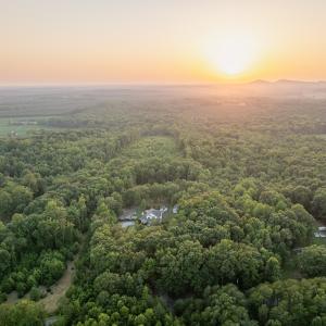 Photo #70 of 385 Asal, Cumberland, VA 21.5 acres