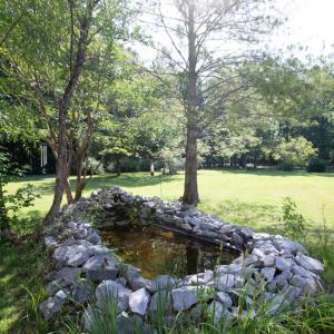 Photo #75 of 385 Asal, Cumberland, VA 21.5 acres