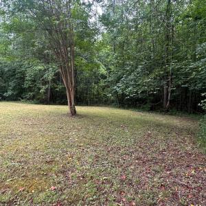 Photo #19 of 830 Weaver Rd, Green Bay, VA 8.4 acres