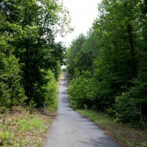 Photo #34 of 1487 Spencer, Dillwyn, VA 4.4 acres
