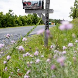 Photo #35 of 1487 Spencer, Dillwyn, VA 4.4 acres