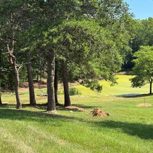 Photo #22 of 258 Willow Oak Road, Appomattox, VA 9.6 acres
