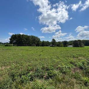 Photo #24 of 258 Willow Oak Road, Appomattox, VA 9.6 acres