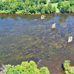 Photo #51 of 5977 River Rd, Gladstone, VA 5.9 acres