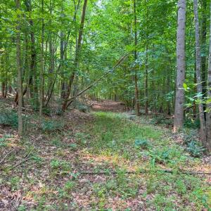 Photo #30 of 6688 Old Buckingham Road, Powhatan, VA 10.0 acres