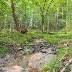 Photo #31 of 6688 Old Buckingham Road, Powhatan, VA 10.0 acres