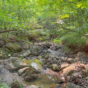 Photo #32 of 6688 Old Buckingham Road, Powhatan, VA 10.0 acres