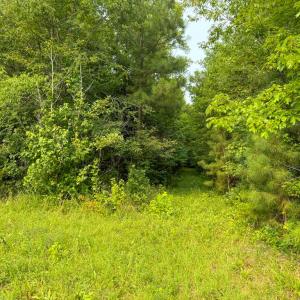 Photo #33 of 6688 Old Buckingham Road, Powhatan, VA 10.0 acres
