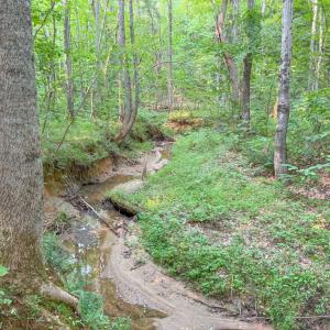 Photo #35 of 6688 Old Buckingham Road, Powhatan, VA 10.0 acres