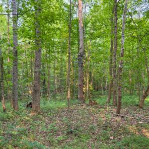Photo #36 of 6688 Old Buckingham Road, Powhatan, VA 10.0 acres