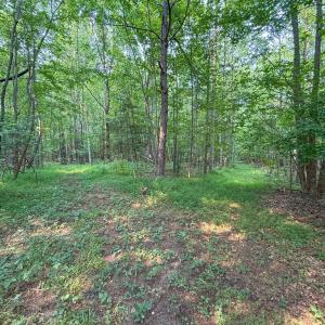 Photo #38 of 6688 Old Buckingham Road, Powhatan, VA 10.0 acres