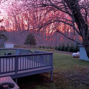 Photo #34 of 2101 8th Street, Victoria, VA 1.0 acres