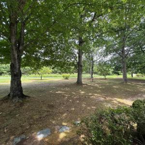 Photo #11 of 205 Hardtimes Road, Farmville, VA 3.2 acres