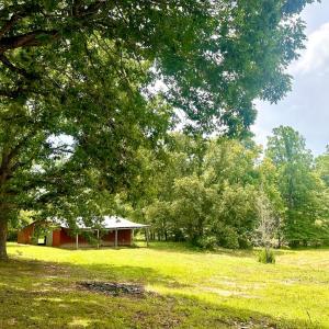 Photo #12 of 205 Hardtimes Road, Farmville, VA 3.2 acres