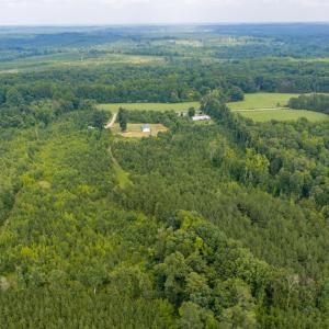 Photo #30 of 3757 Springfield Rd., Meherrin, VA 14.8 acres