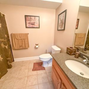 Photo #44 of 6082 Hungarytown Road, Blackstone, VA 10.5 acres