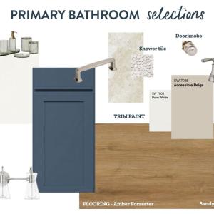 Primary Bathroom, Primary Bathroom Design Selections