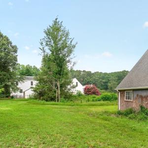 Barn Yard