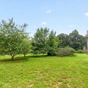 Back Yard w/Fruit Trees