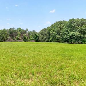 Side Field Front on left